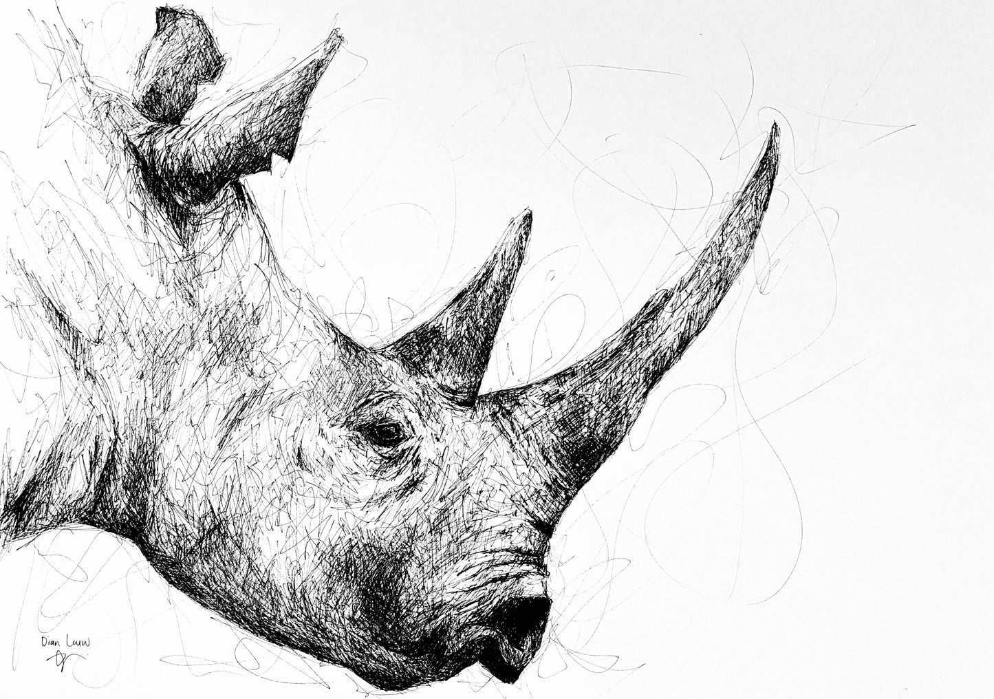 Bespoke Pen sketch (rhino close-up)