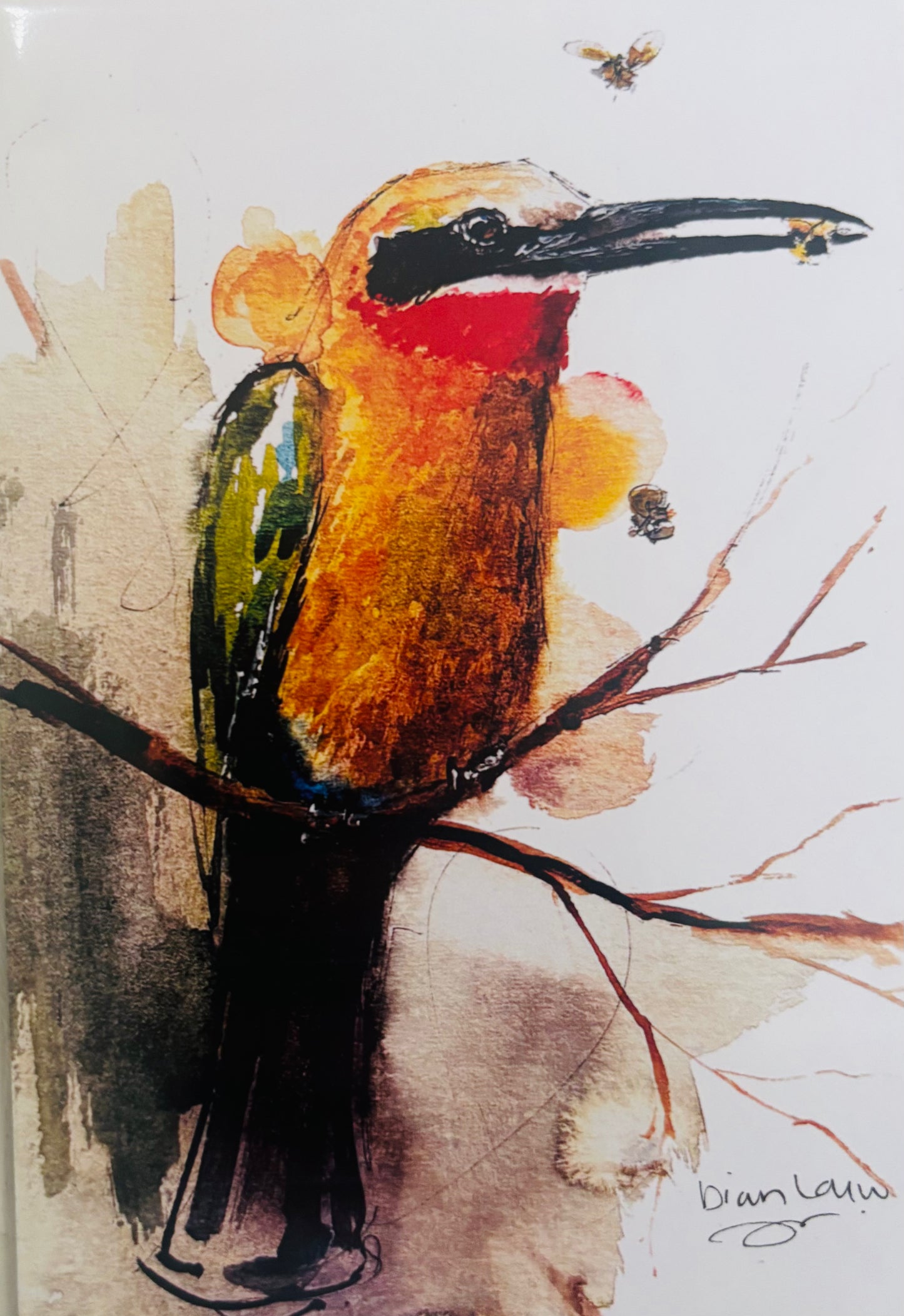 White-fronted bee-eater