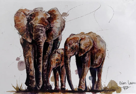 Family of elephants