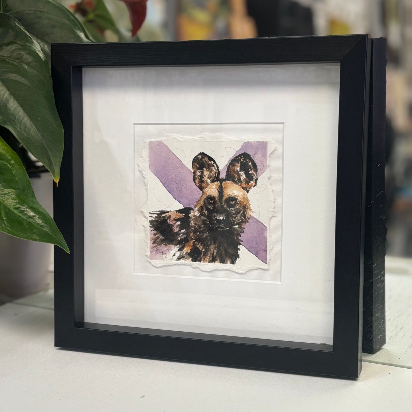 Wilddog in watercolour