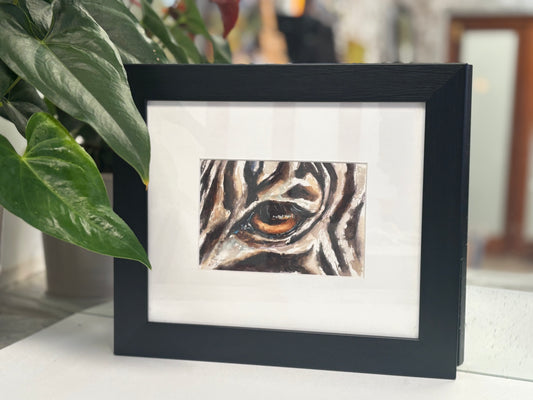A6 zebra eye in watercolour