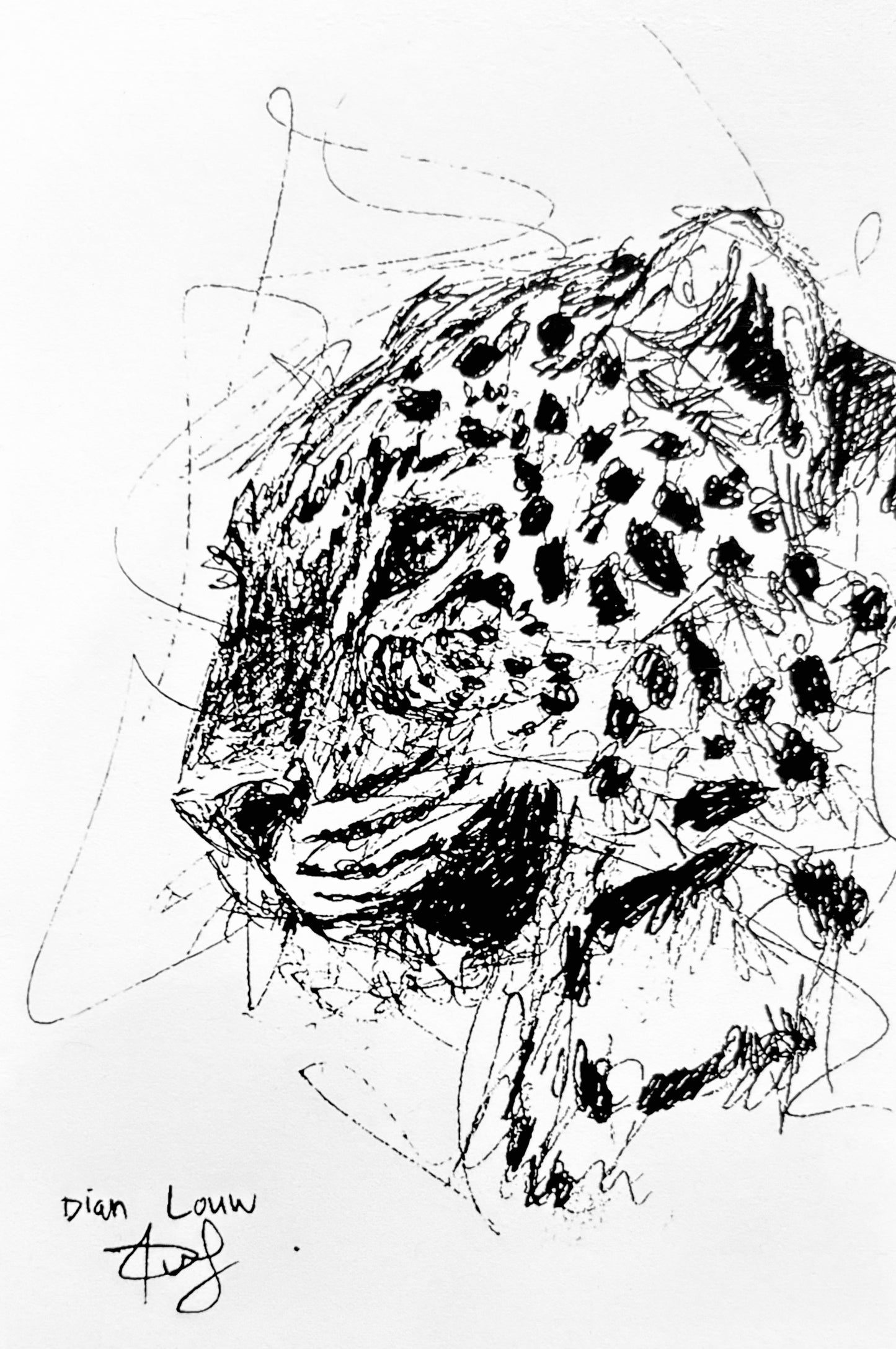 Leopard black & white pen sketch
