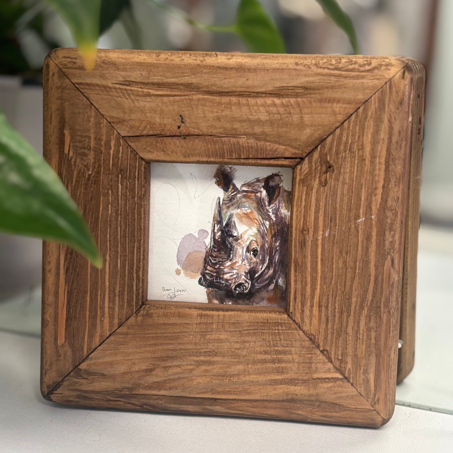 White Rhino miniature watercolour