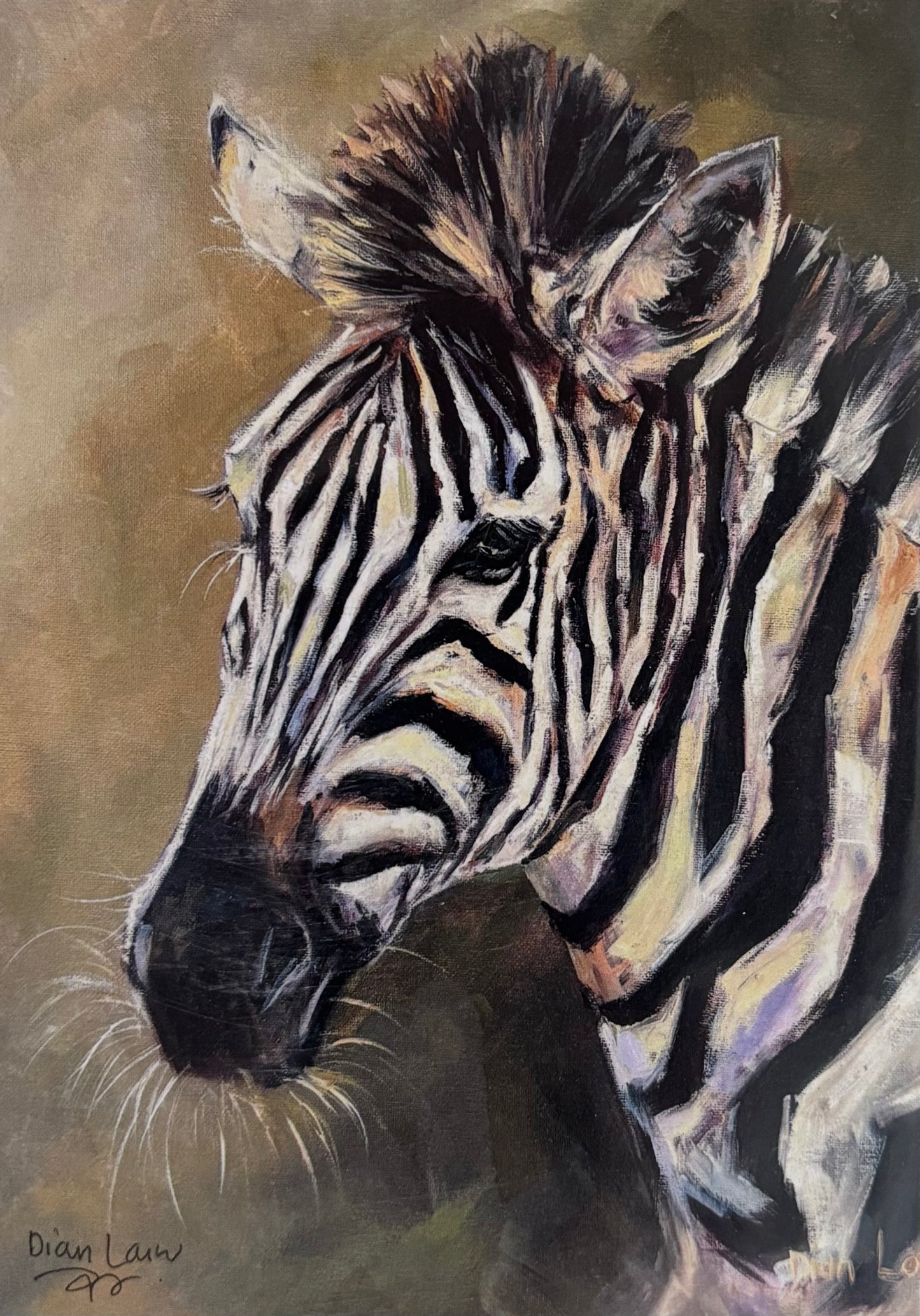 Zebra #3