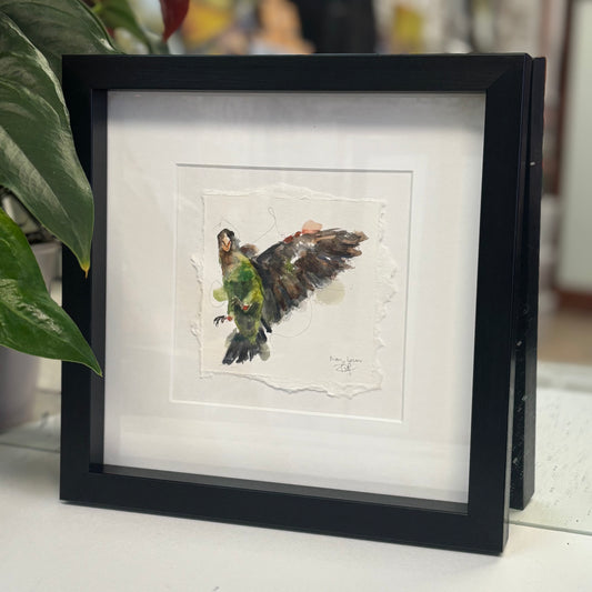Meyer’s parrot flying in watercolour