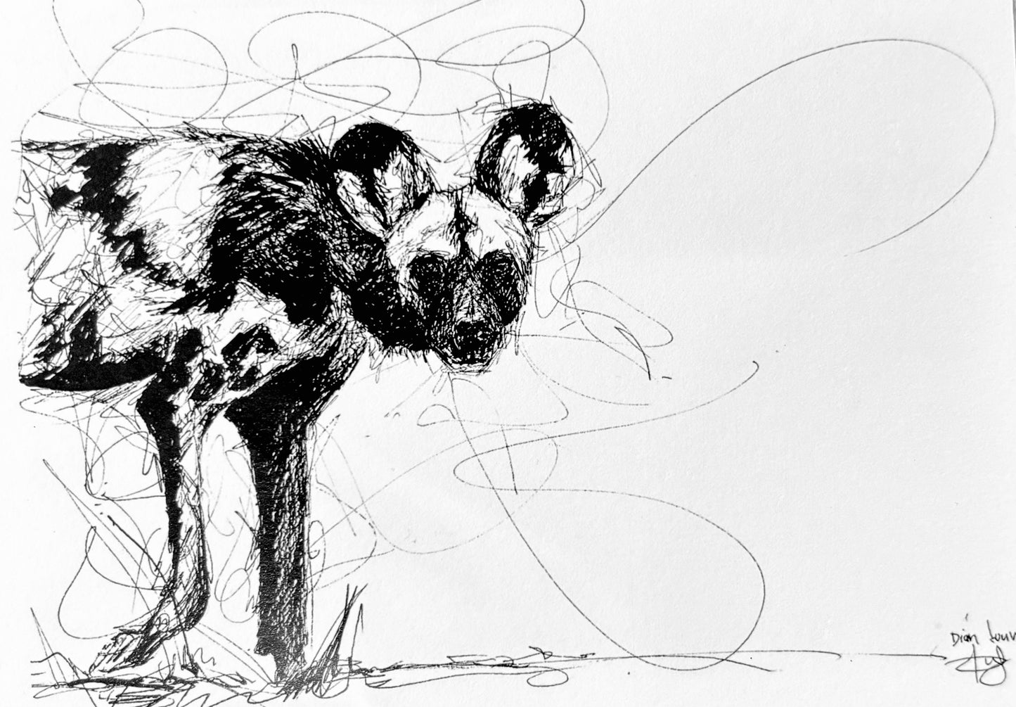 Walking wilddog, black & white pen sketch