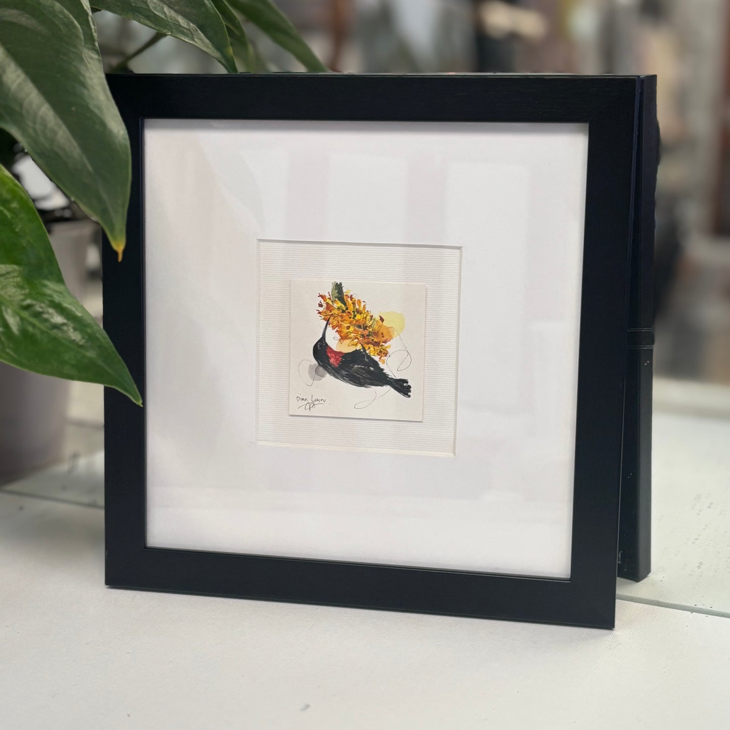 Miniature Scarlet-chested Sunbird