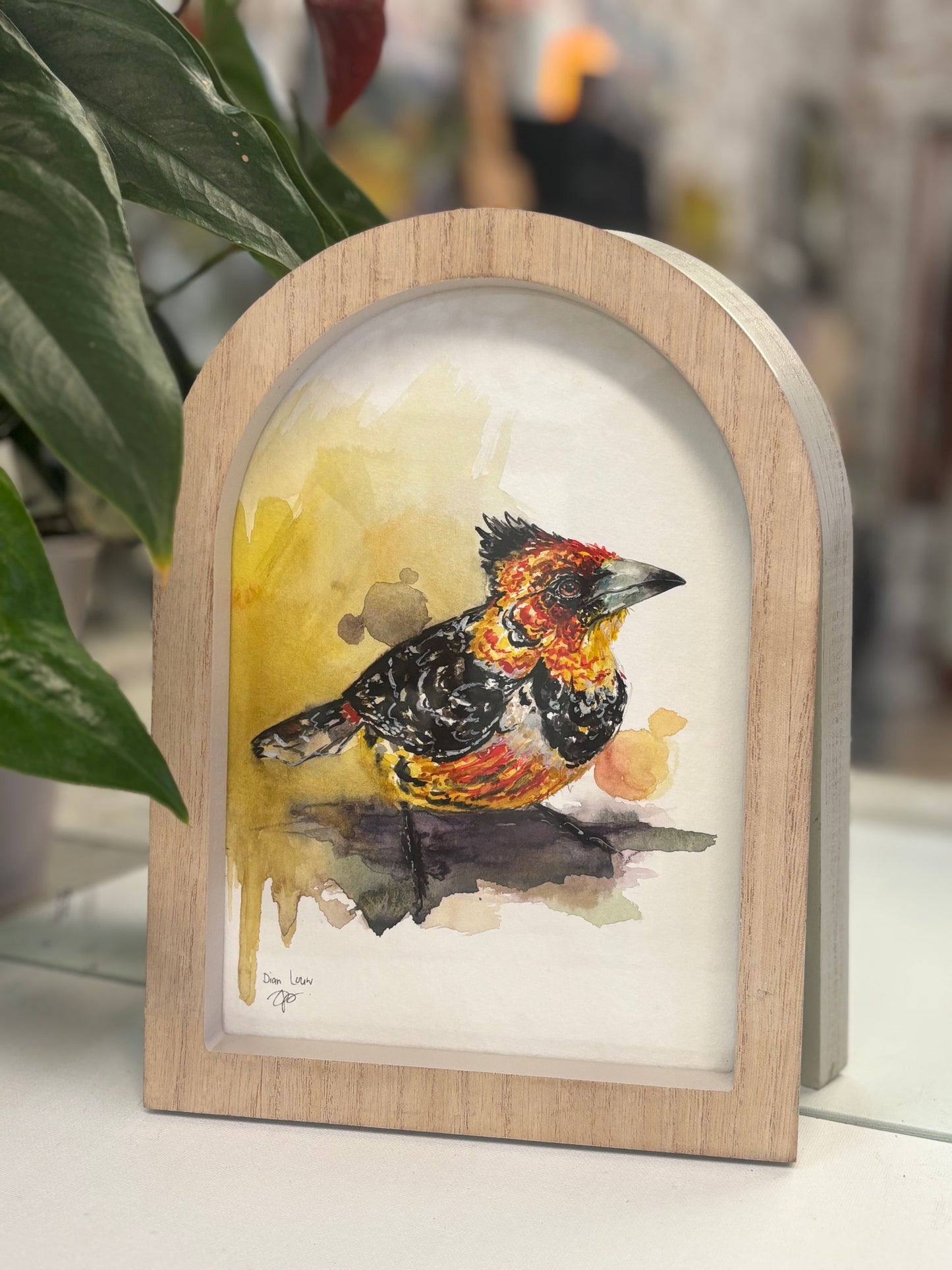 Crested barbet in watercolour