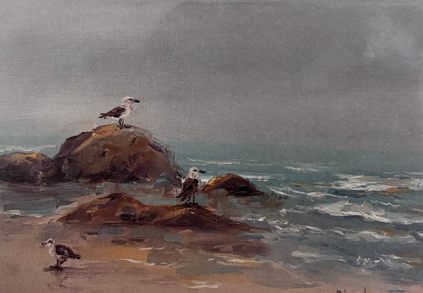 Seagulls at Paternoster