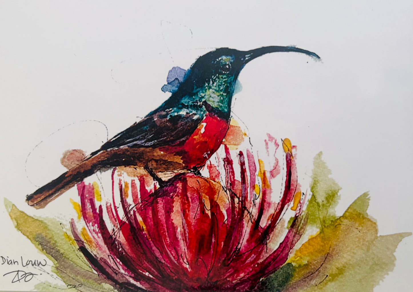 Red-chested Sunbird