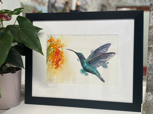 Sunbird watercolour
