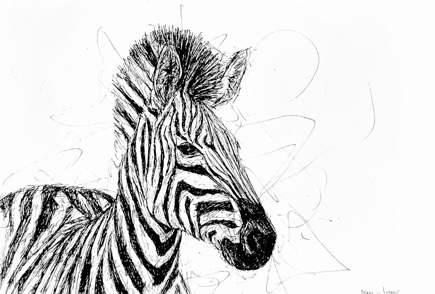 Zebra #3, black & white pen sketch