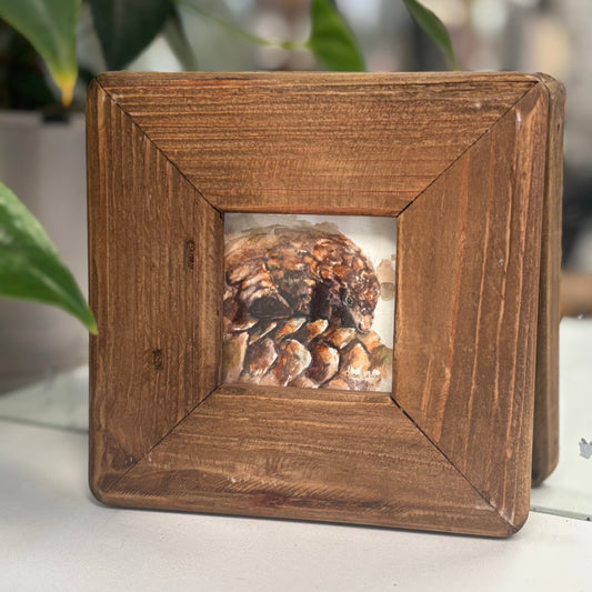 Pangolin miniature watercolour