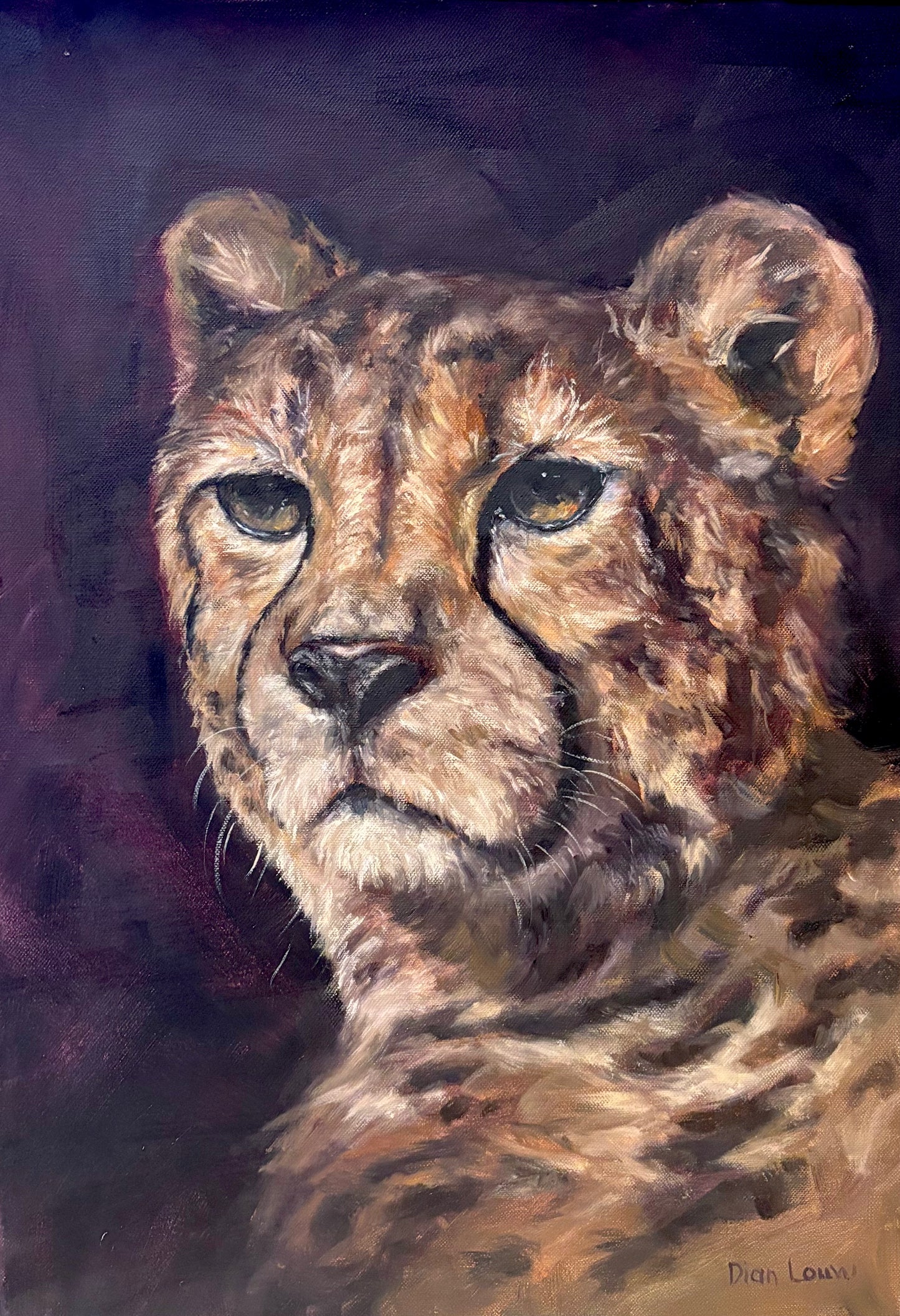 Cheetah #2
