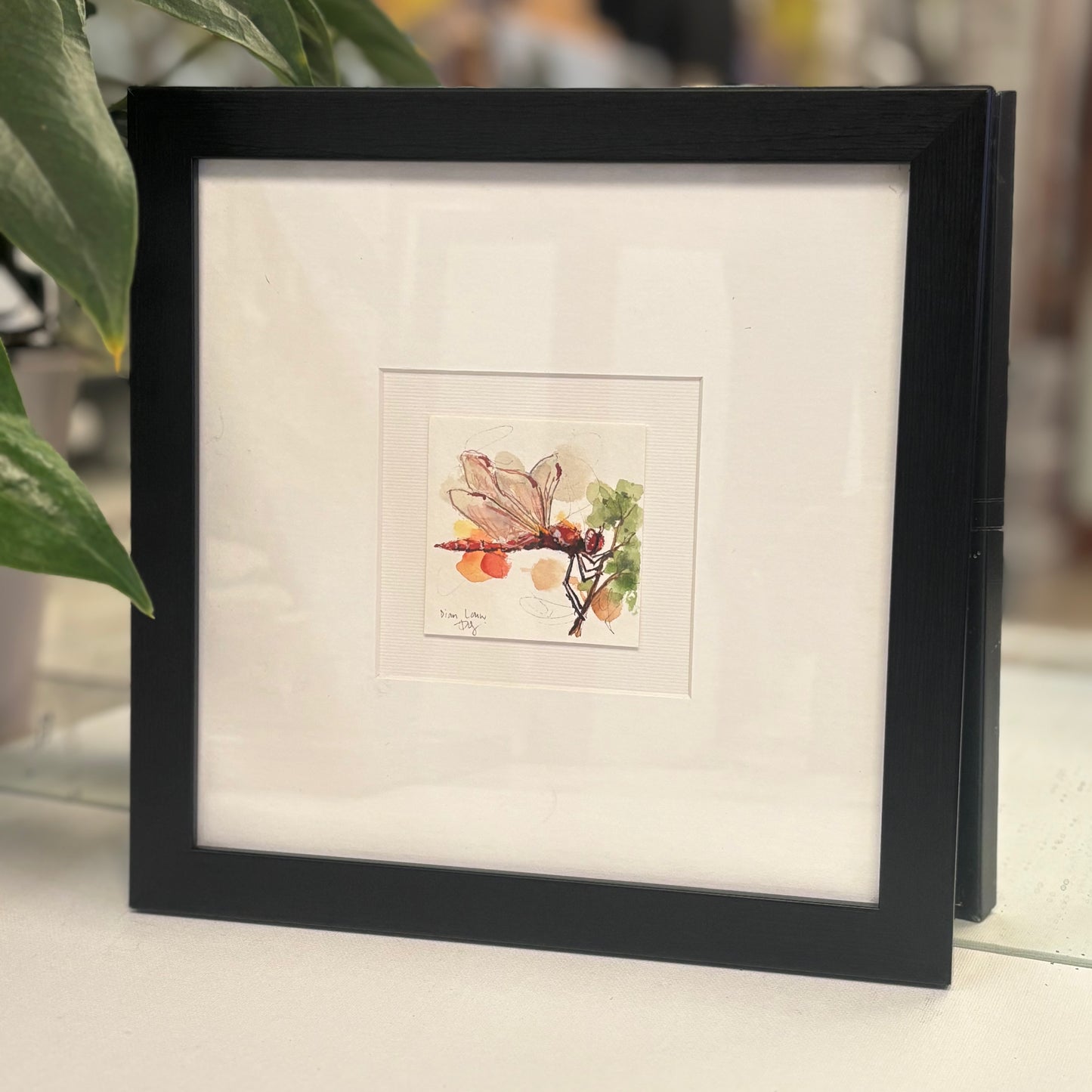 Miniature Red Dragonfly