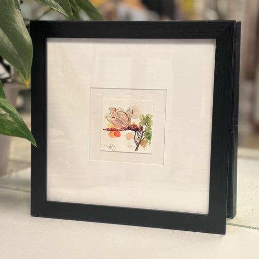 Miniature Red Dragonfly