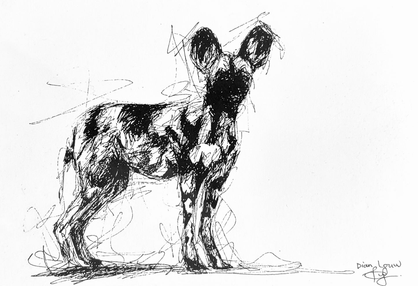 Wild dog #2, black & white pen sketch