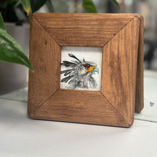 Secretary bird miniature watercolour