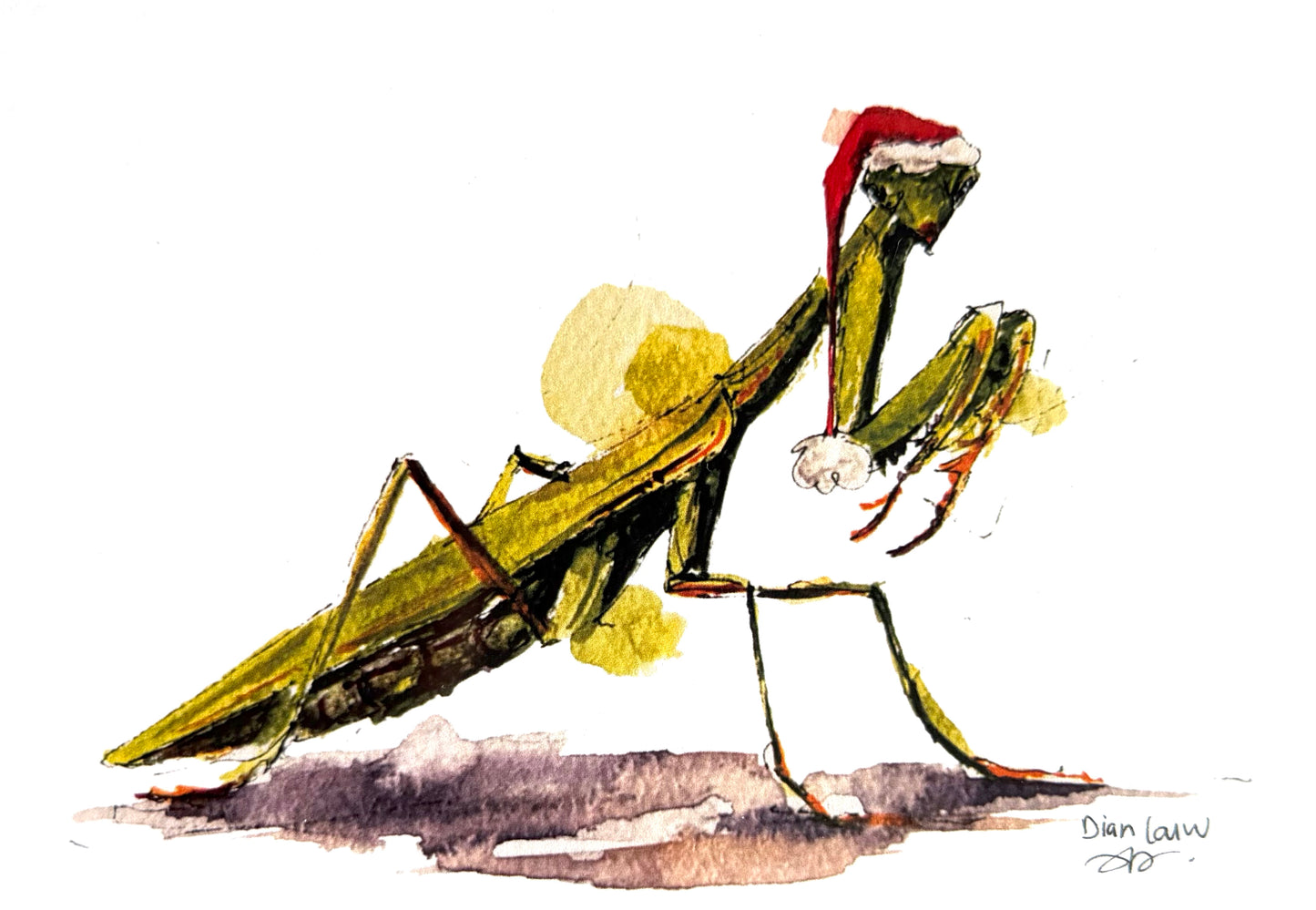 Christmas praying mantis
