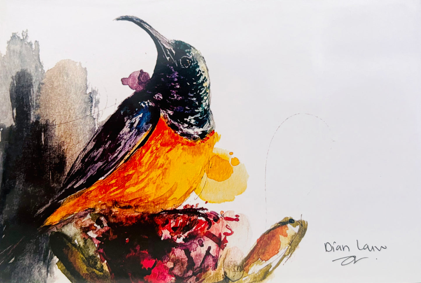 Orange-breasted Sunbird