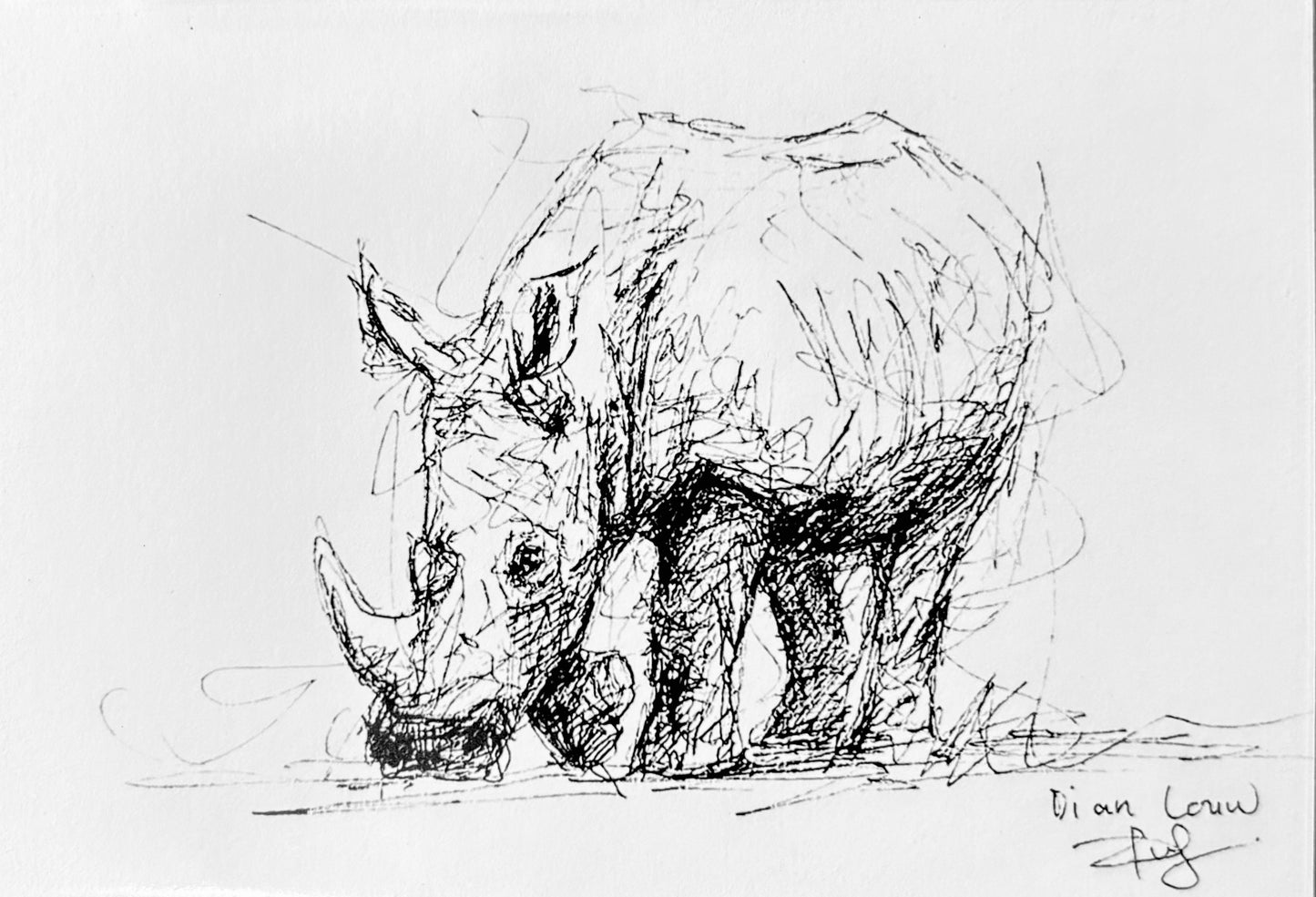 White Rhino #3, black & white pen sketch