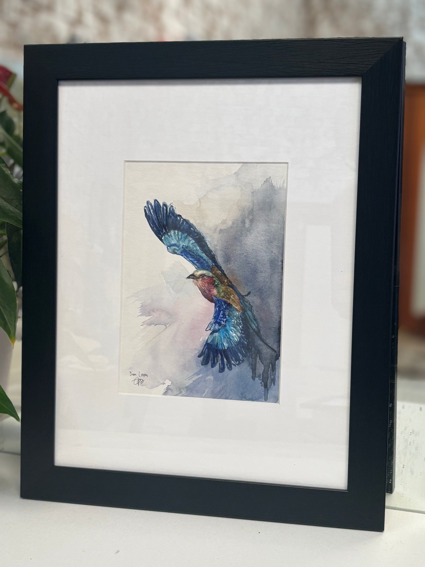 Flying Lilac-breasted Roller watercolour