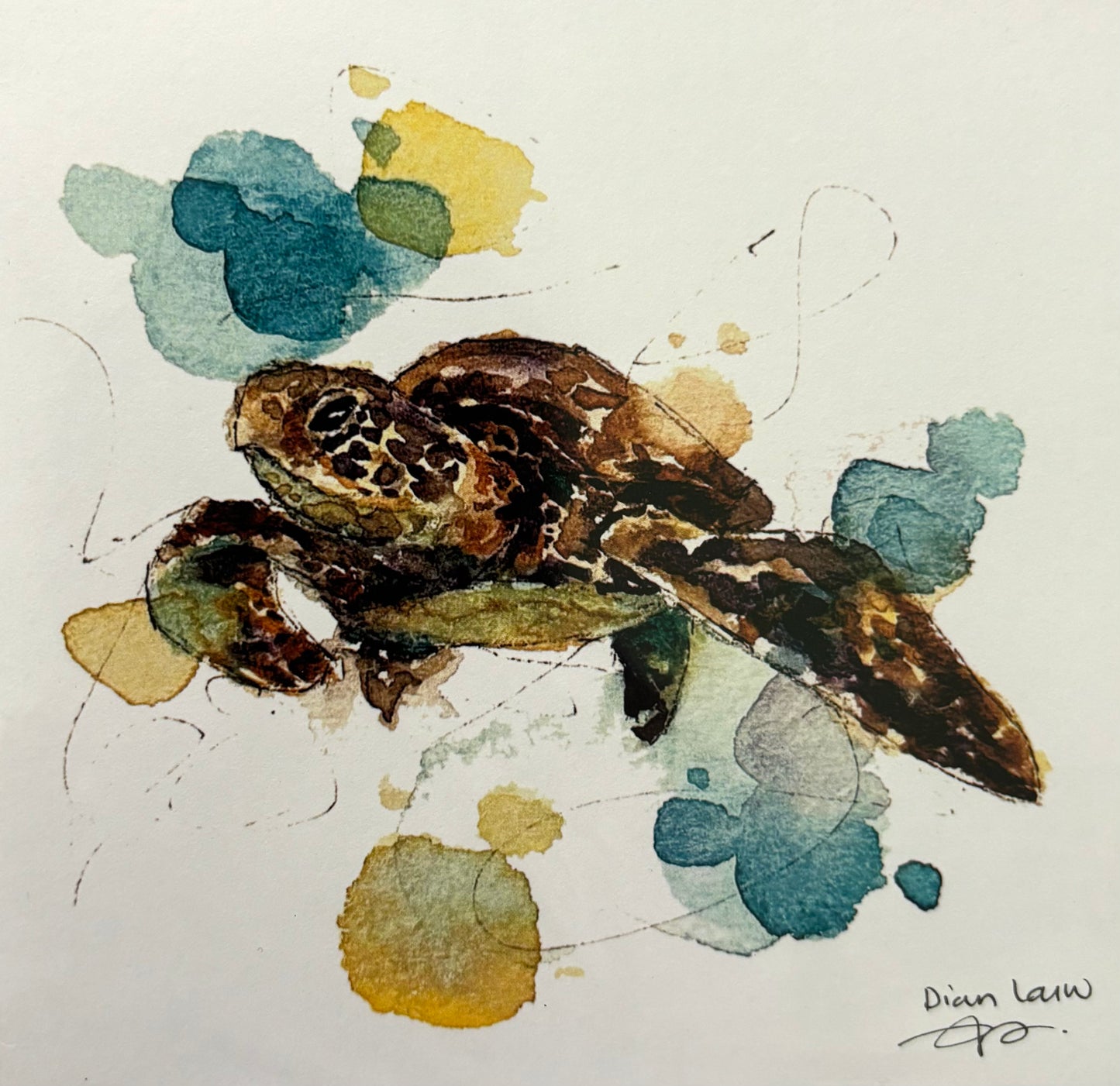 Sea turtle #3