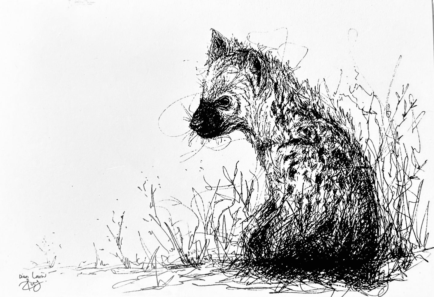 Baby Hyena, black & white pen sketch