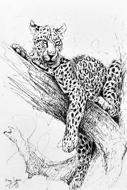Leopard in tree black & white pen sketch