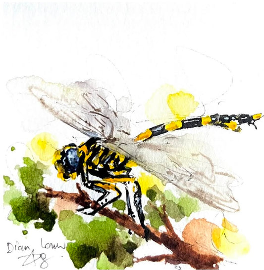 Yellow Dragonfly