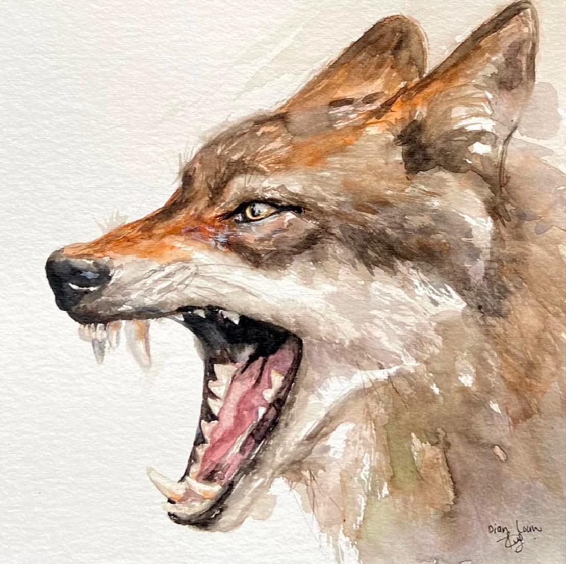 Wolf