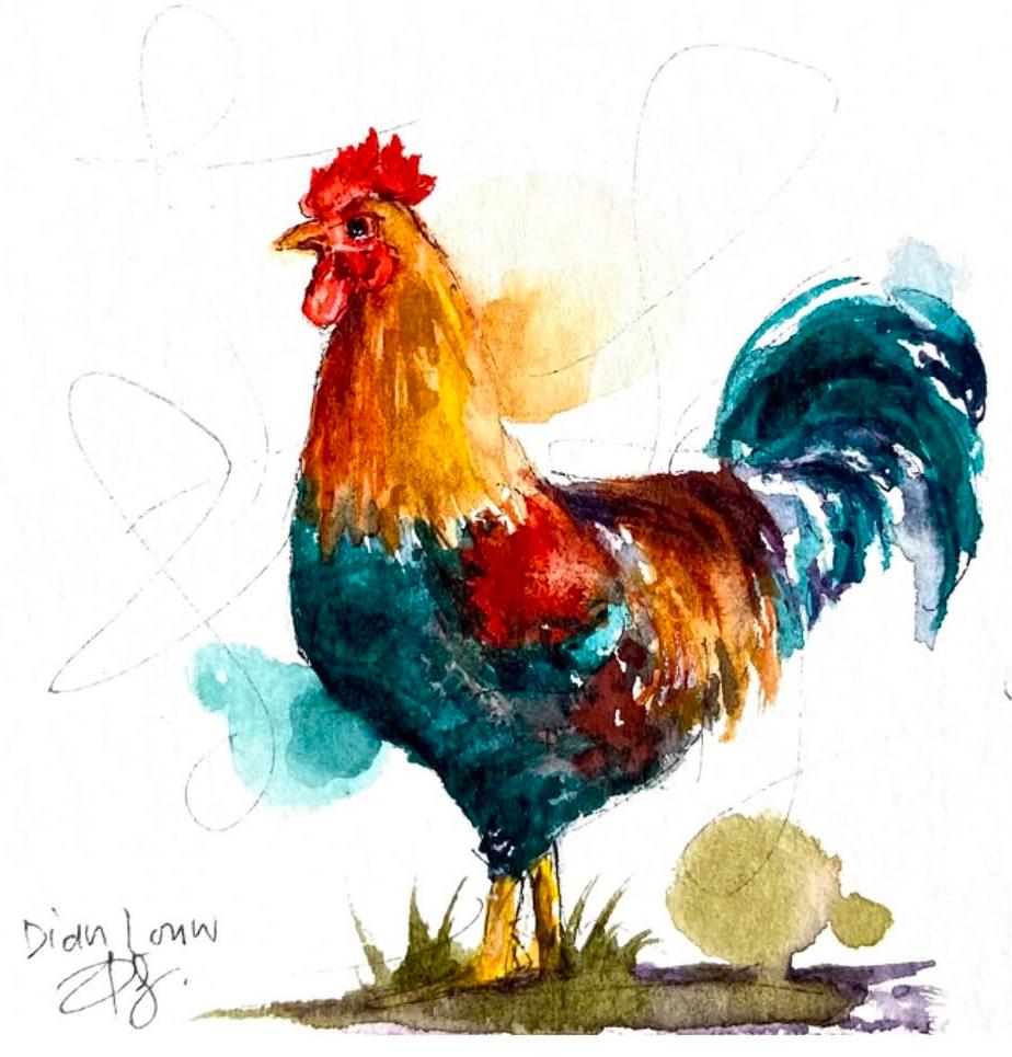 Rooster