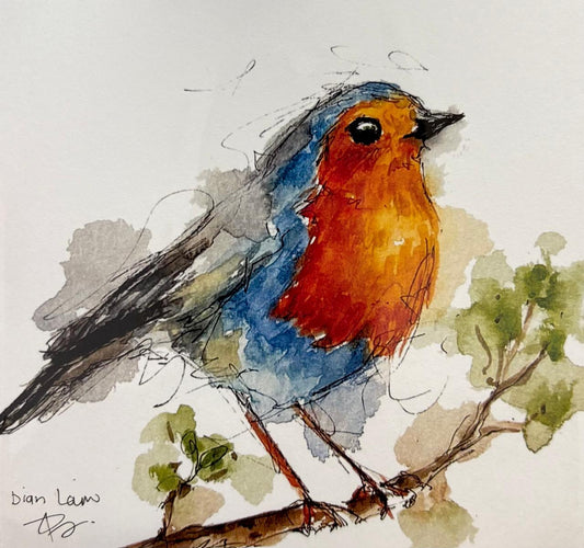 Robin