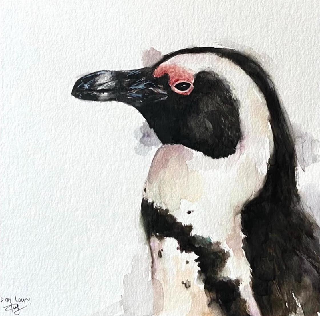 African Penguin close-up