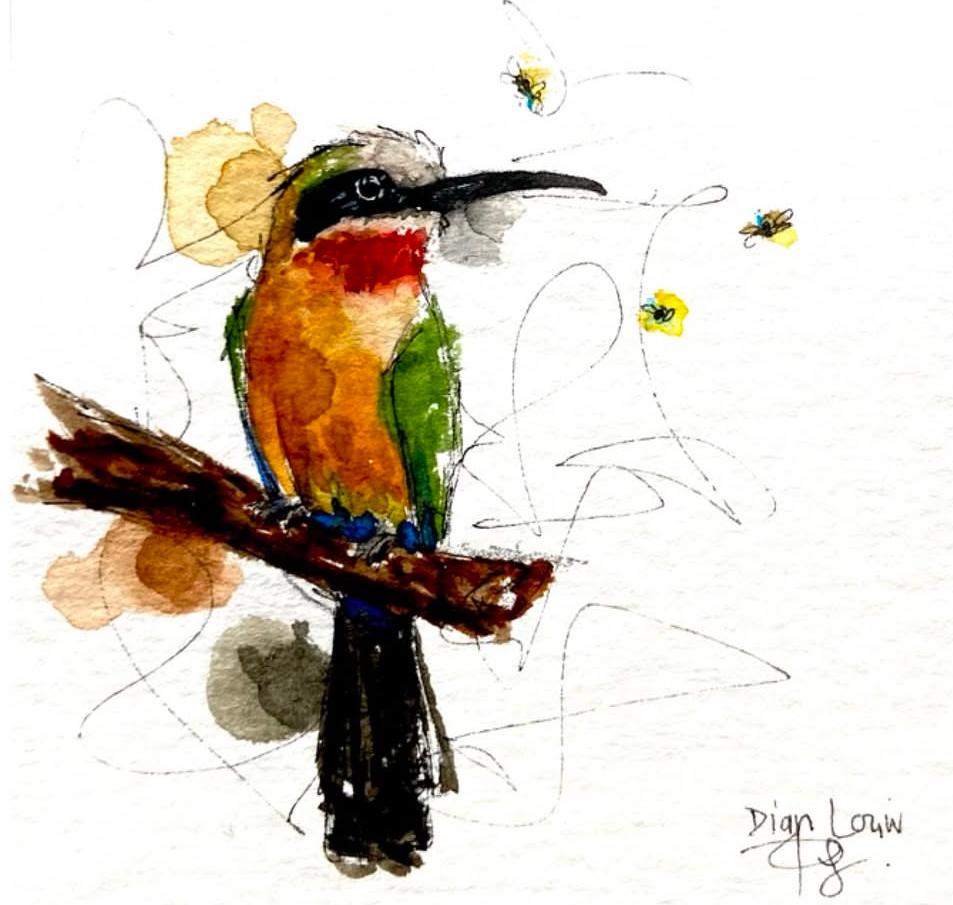 White-fronted bee-eater