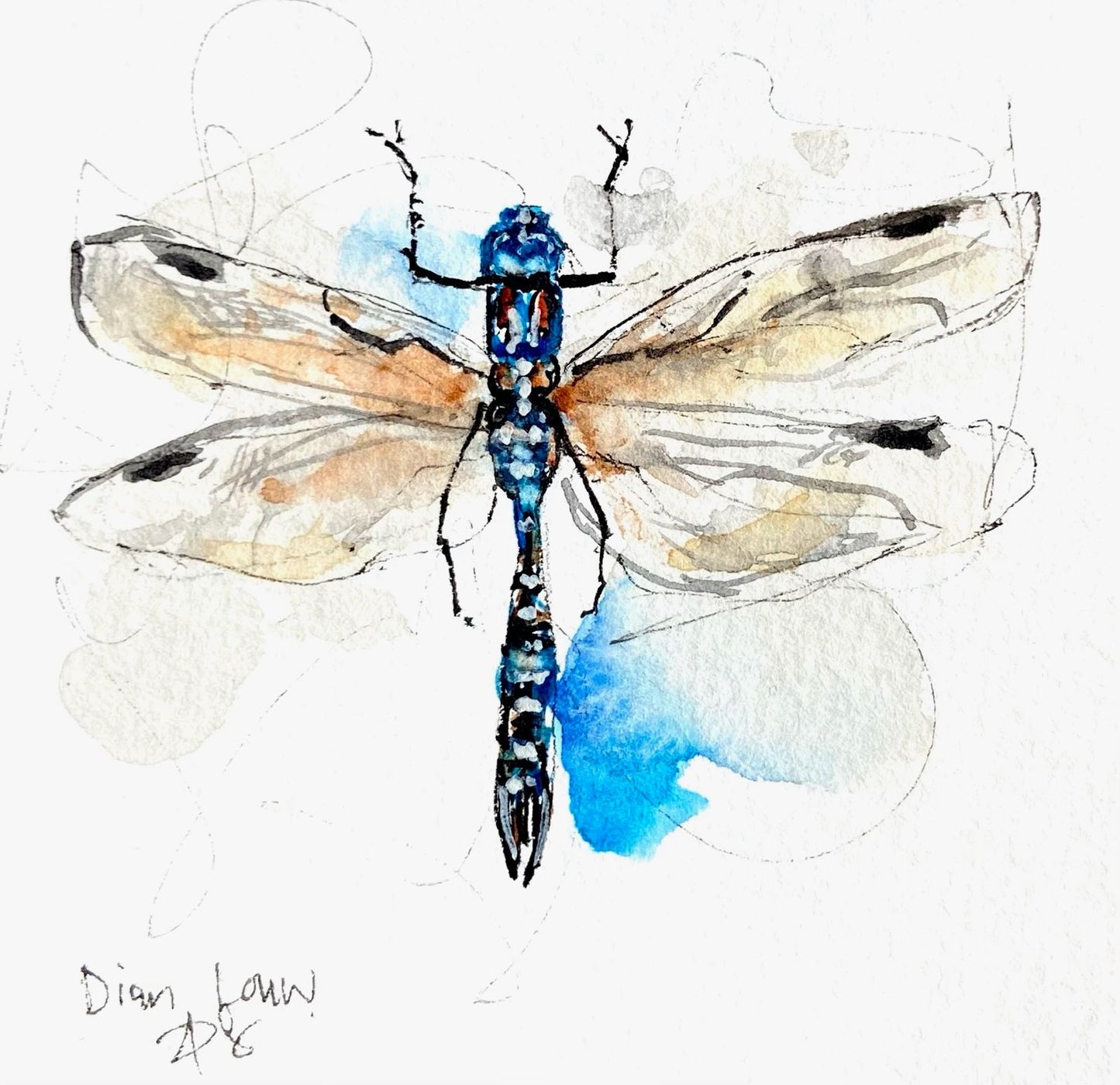 Blue Dragonfly