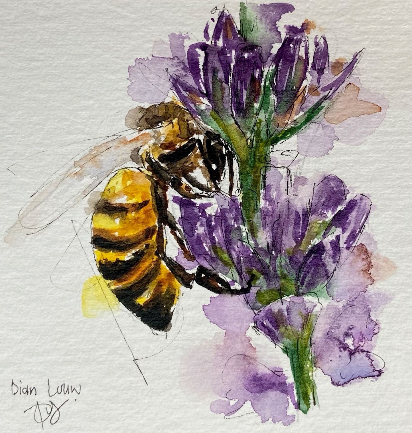 Bee with purple flower
