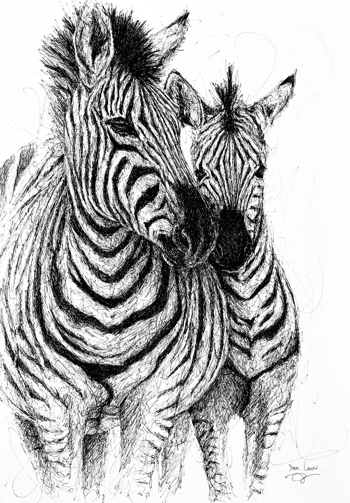 Bespoke Pen sketch (Two zebras) #2