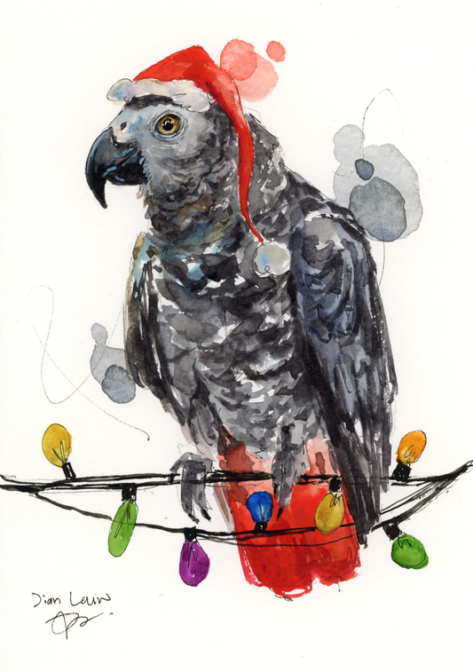 Christmas african grey