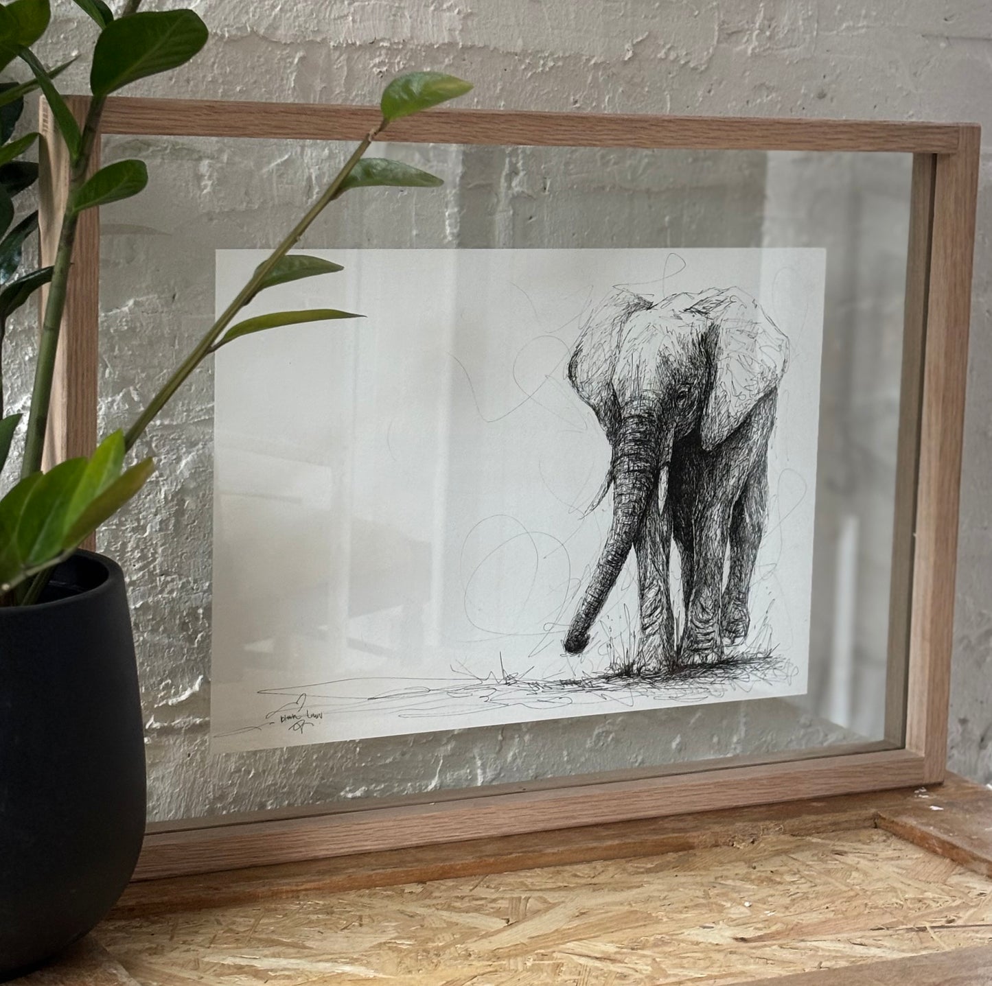 Bespoke Pen sketch (young elephant)