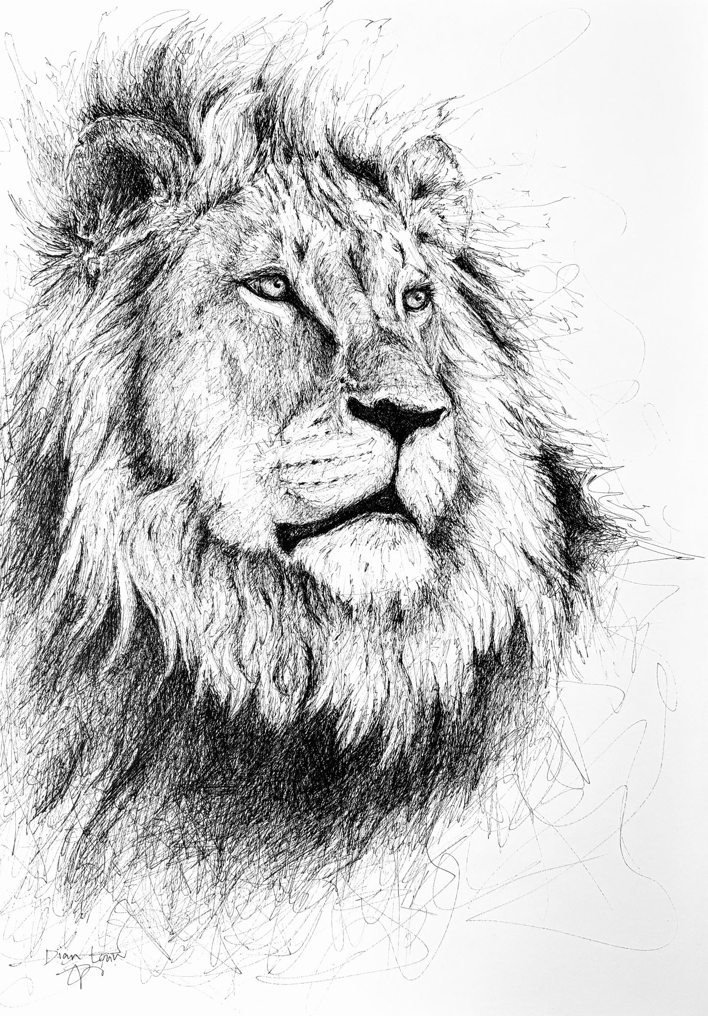 Bespoke Pen sketch (lion)