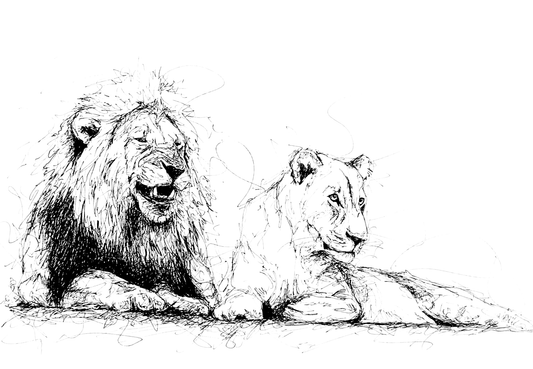 Bespoke Pen sketch (Two lions)