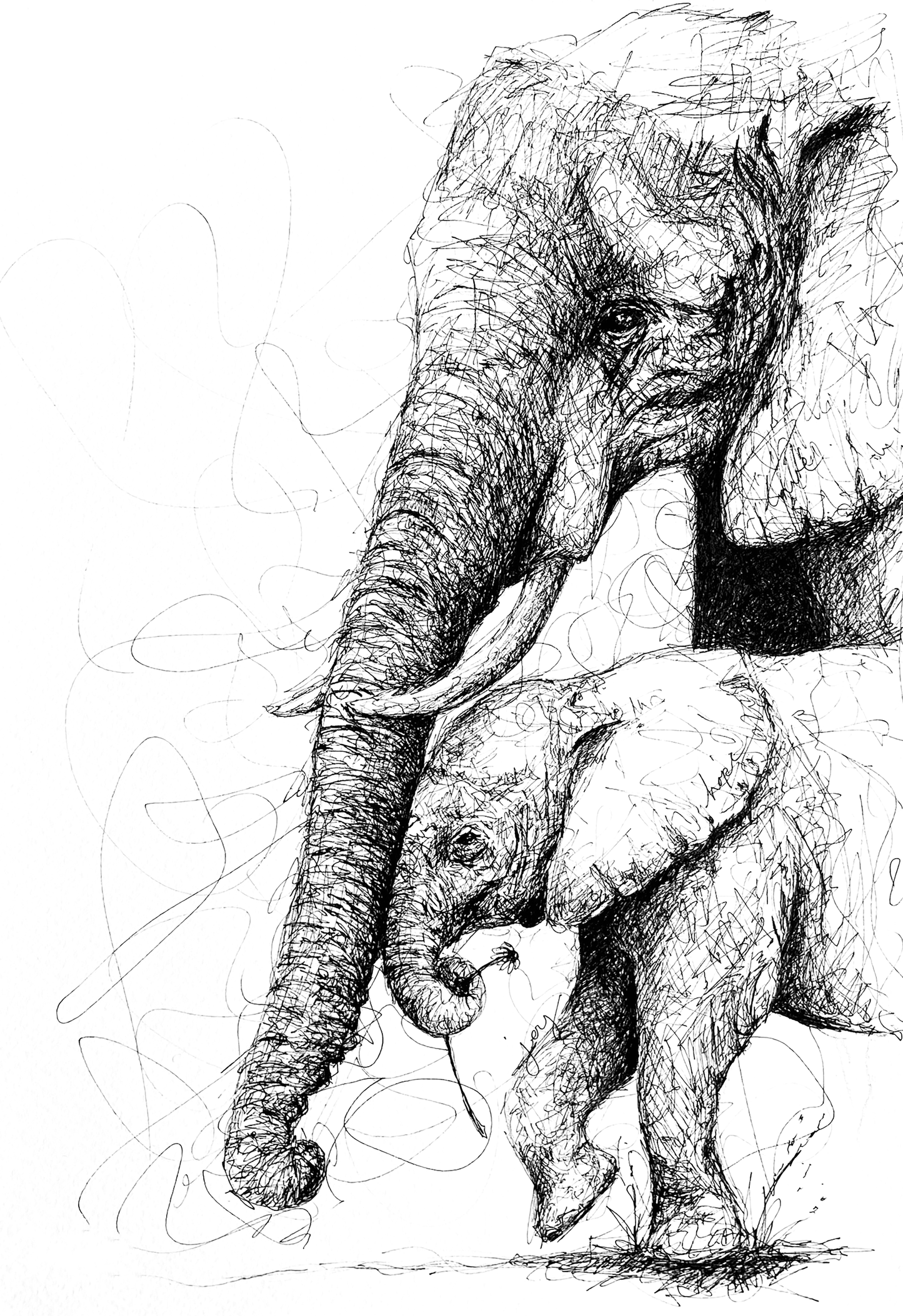 Bespoke Pen sketch (Elephant and young)
