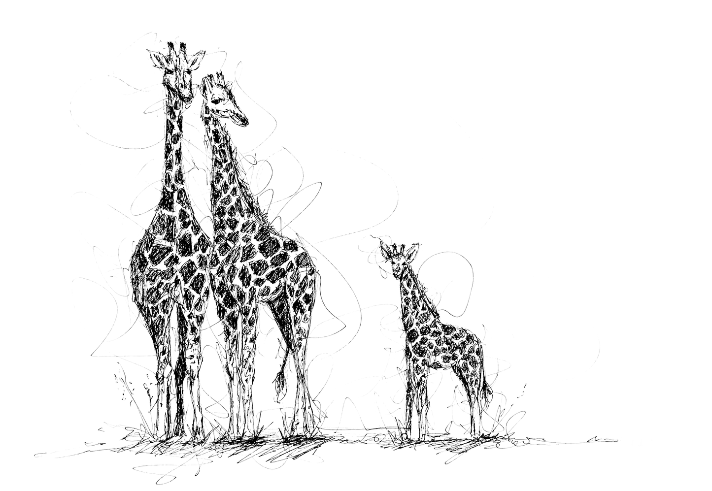 Bespoke Pen sketch (Giraffe family)