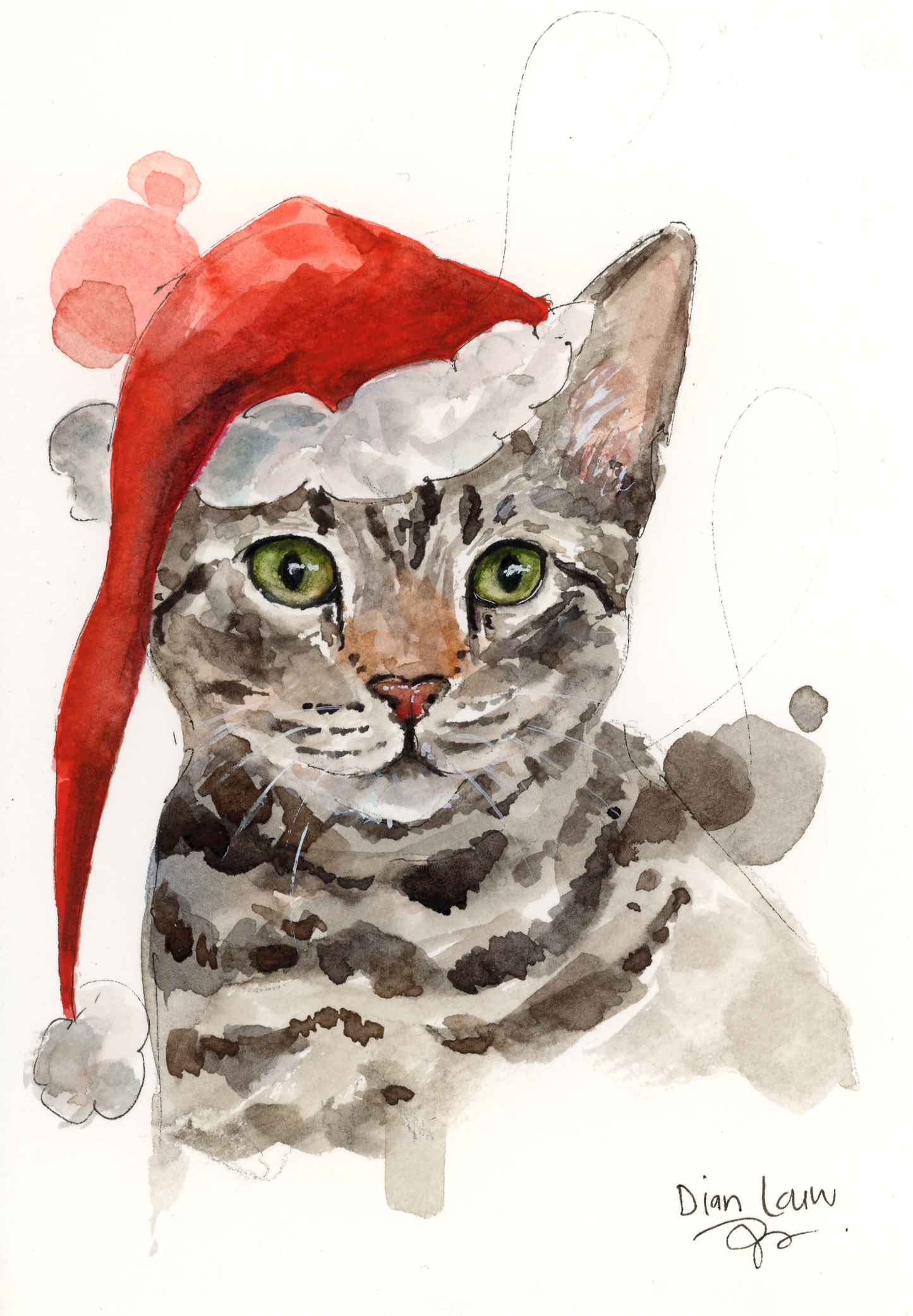 Christmas cat