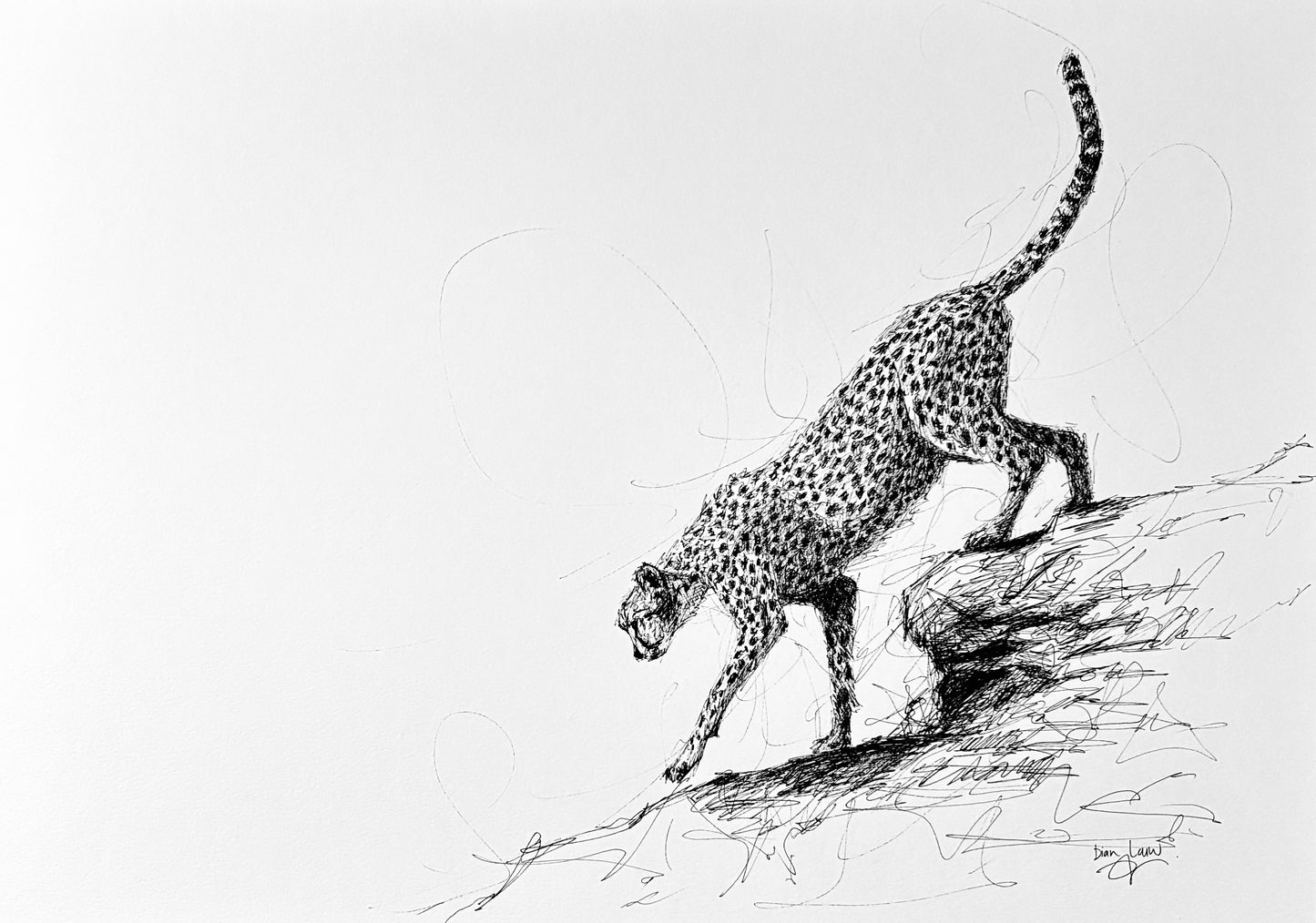 Bespoke Pen sketch (cheetah)