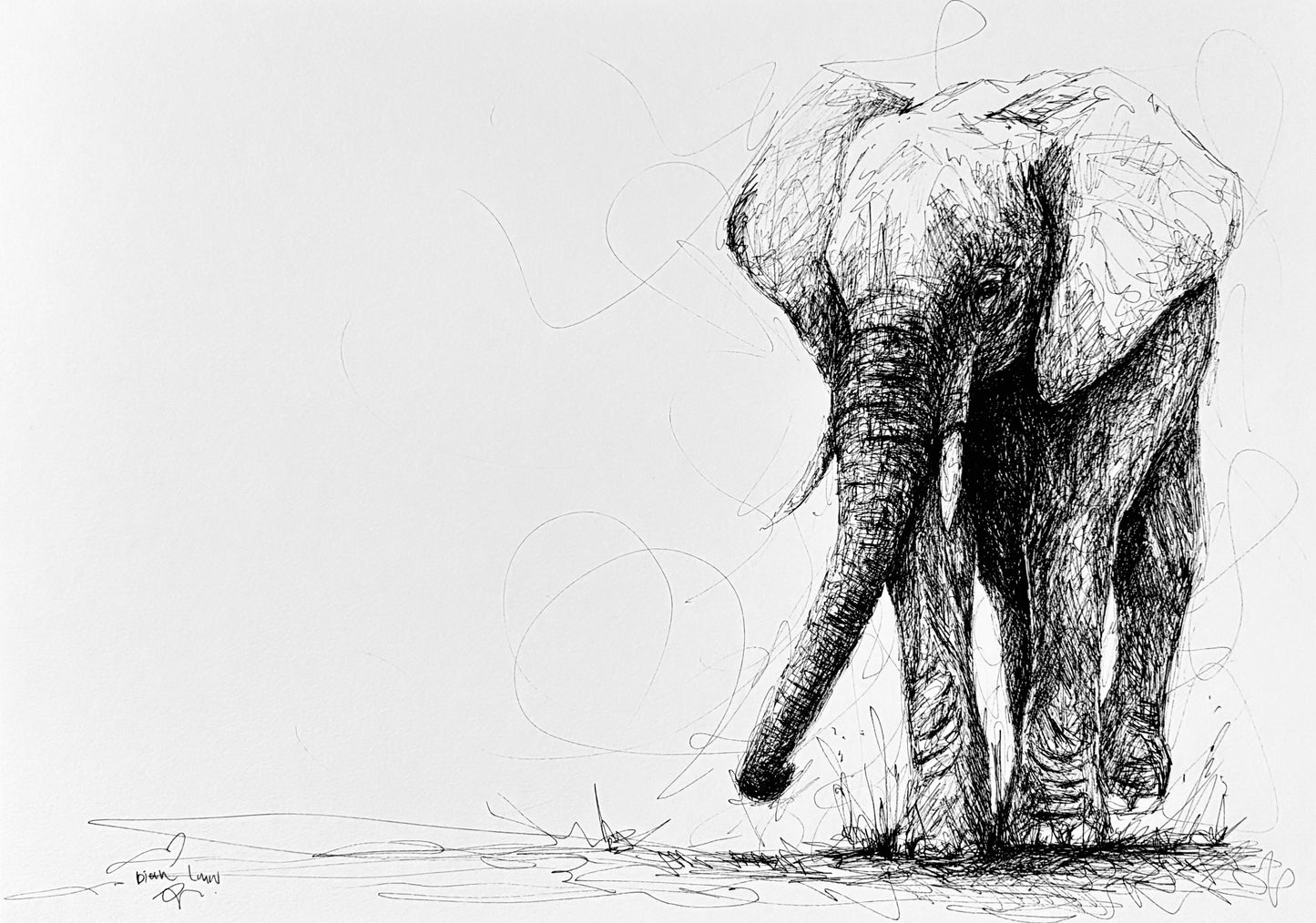 Bespoke Pen sketch (young elephant)