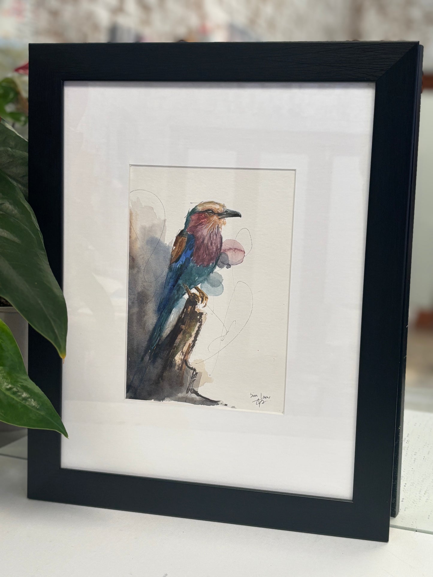 Lilac-breasted Roller #2 watercolour