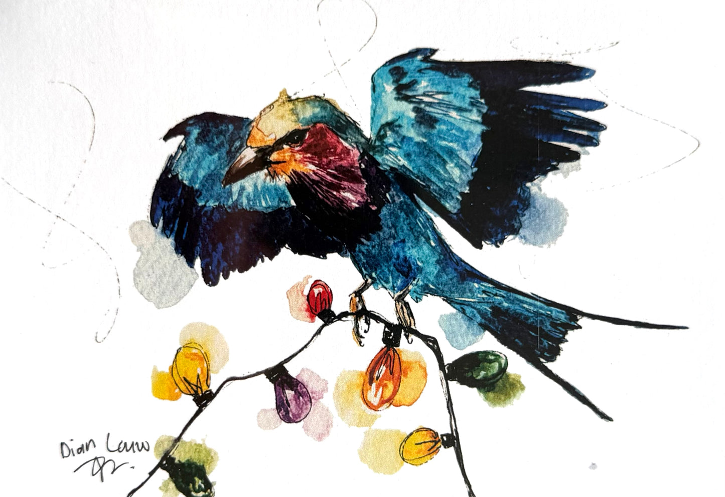 Christmas lilac-breasted roller