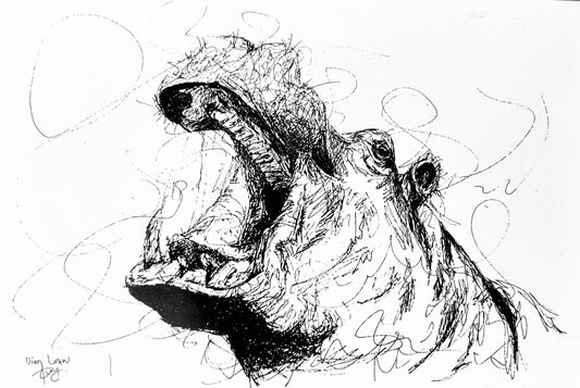 Hippopotamus black & white pen sketch